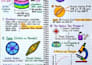 write engaging articles and content on forensic science and criminology